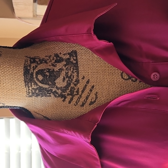 The Limited Women's Button Down Dress Blouse.... EXCELLENT CONDITION - Picture 2 of 9